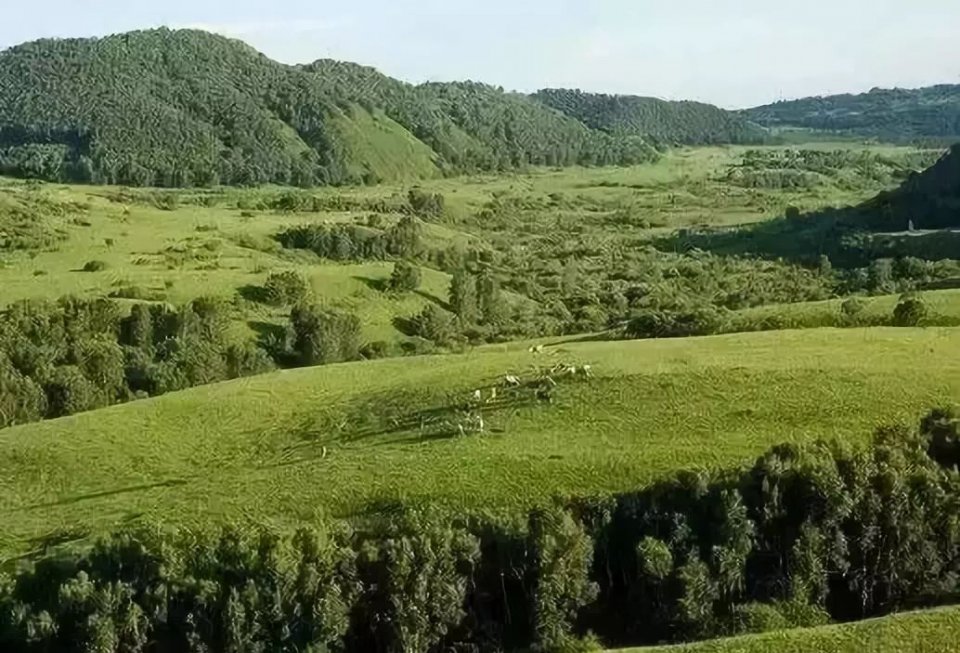 国家一号风景大道