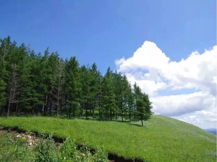 国家一号风景大道