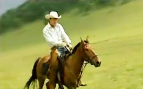 视频: 坝上骑马 《完美生活》