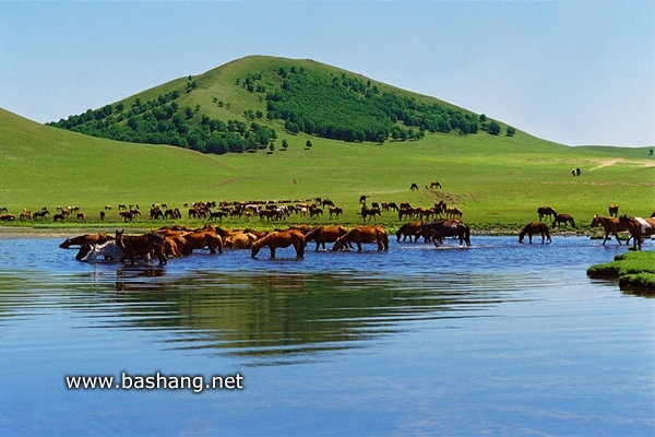 五彩山风景区-红山军马场,乌兰布统