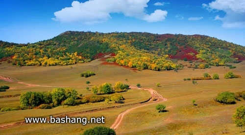 红山军马场风景