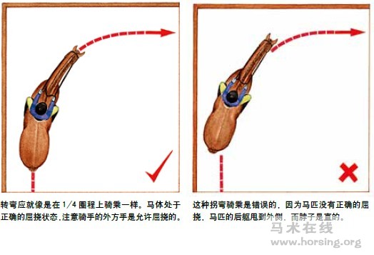 骑手的辅助三