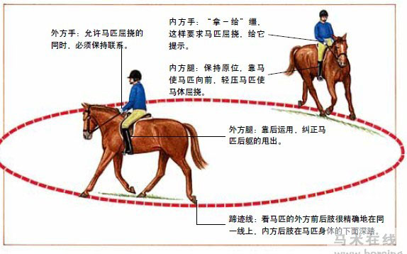 骑手的辅助三