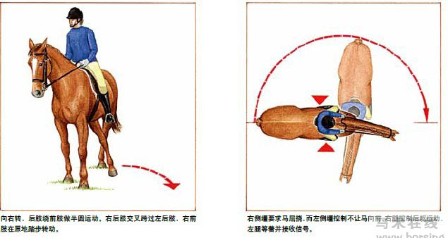 骑手的辅助三