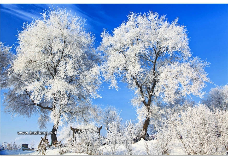 拒绝裸奔！木兰围场冬季外拍相机保暖技巧