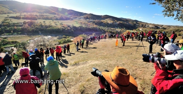 红山军马场自助游图片