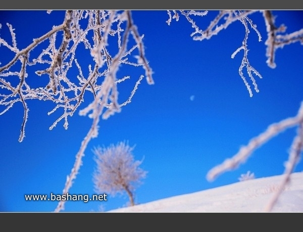 木兰围场景点图片