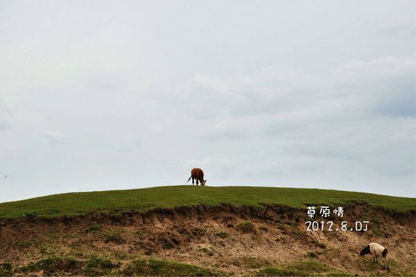 坝上旅游攻略图片