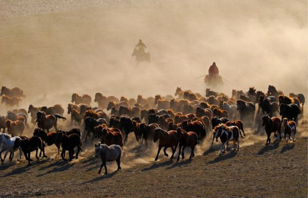 乌兰布统图片