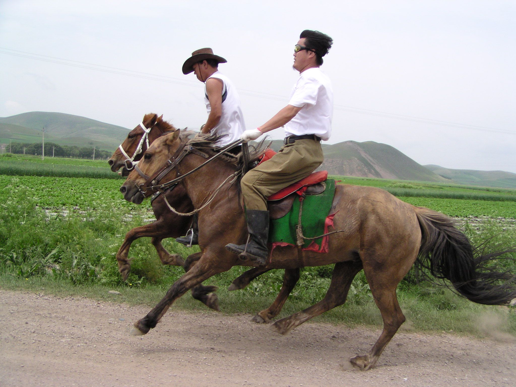 初学骑马--基本骑乘-坝上草原旅游网