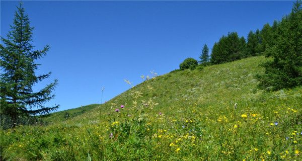 7月丰宁坝上两日游