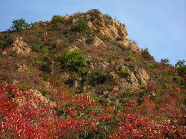 坝上+喇叭沟门自助游图片