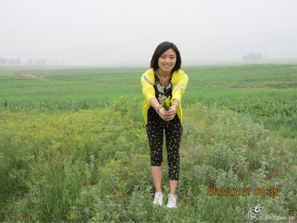 丰宁坝上图片