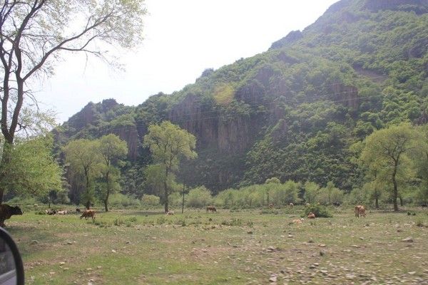 丰宁坝上自助游图片