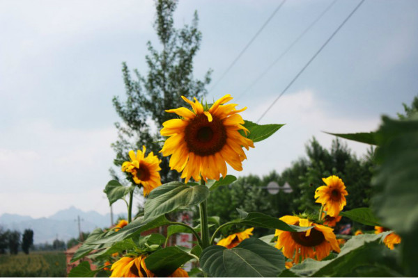 2013-08-10 丰宁坝上草原游记