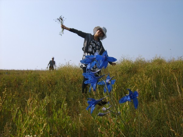 木兰围场景点图片