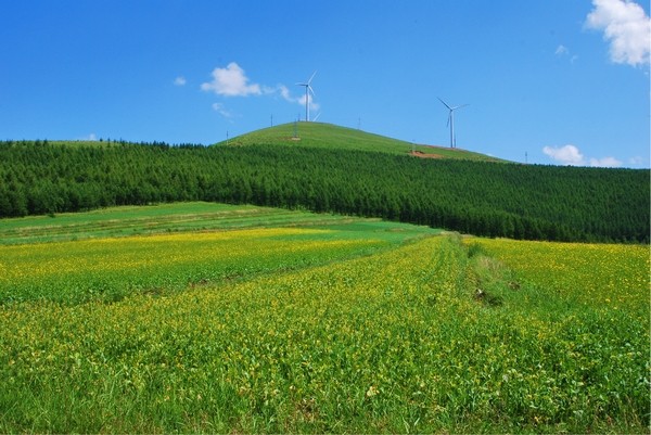 真正的张北草原——崇礼