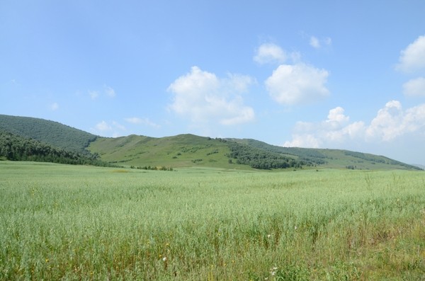 丰宁坝上旅游攻略图片