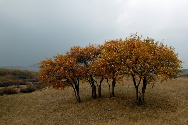 木兰围场景点图片