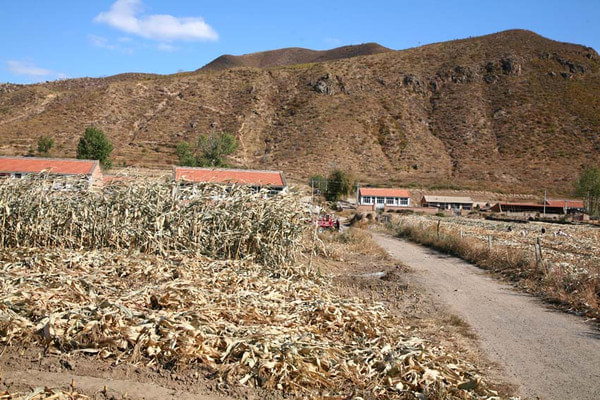 木兰围场自助游图片