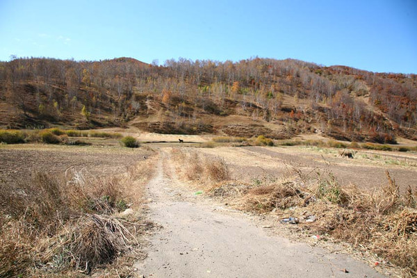 木兰围场自助游图片