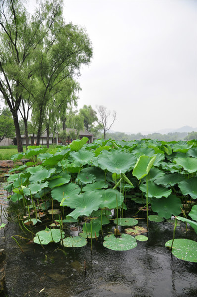 木兰围场景点图片