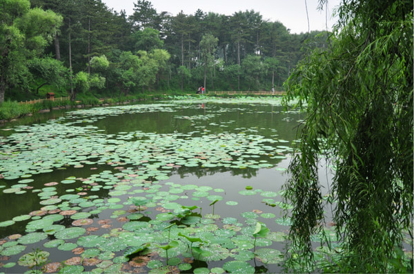 木兰围场景点图片