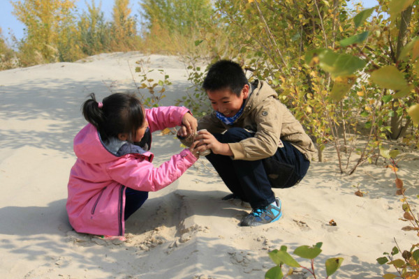 丰宁坝上自助游图片