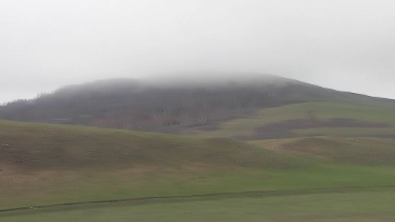 偶遇梦幻之旅木兰围场坝上草原 