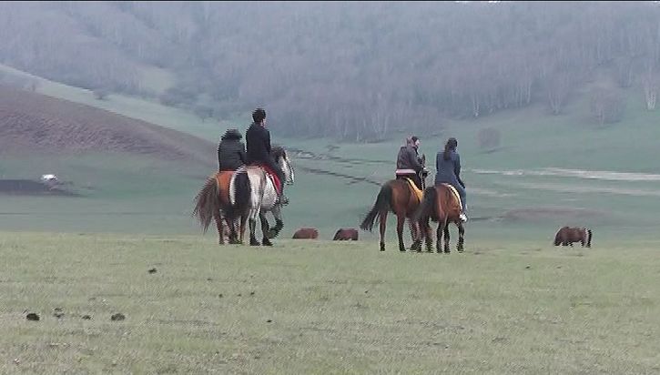 偶遇梦幻之旅木兰围场坝上草原 