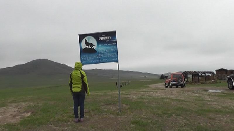 偶遇梦幻之旅木兰围场坝上草原 