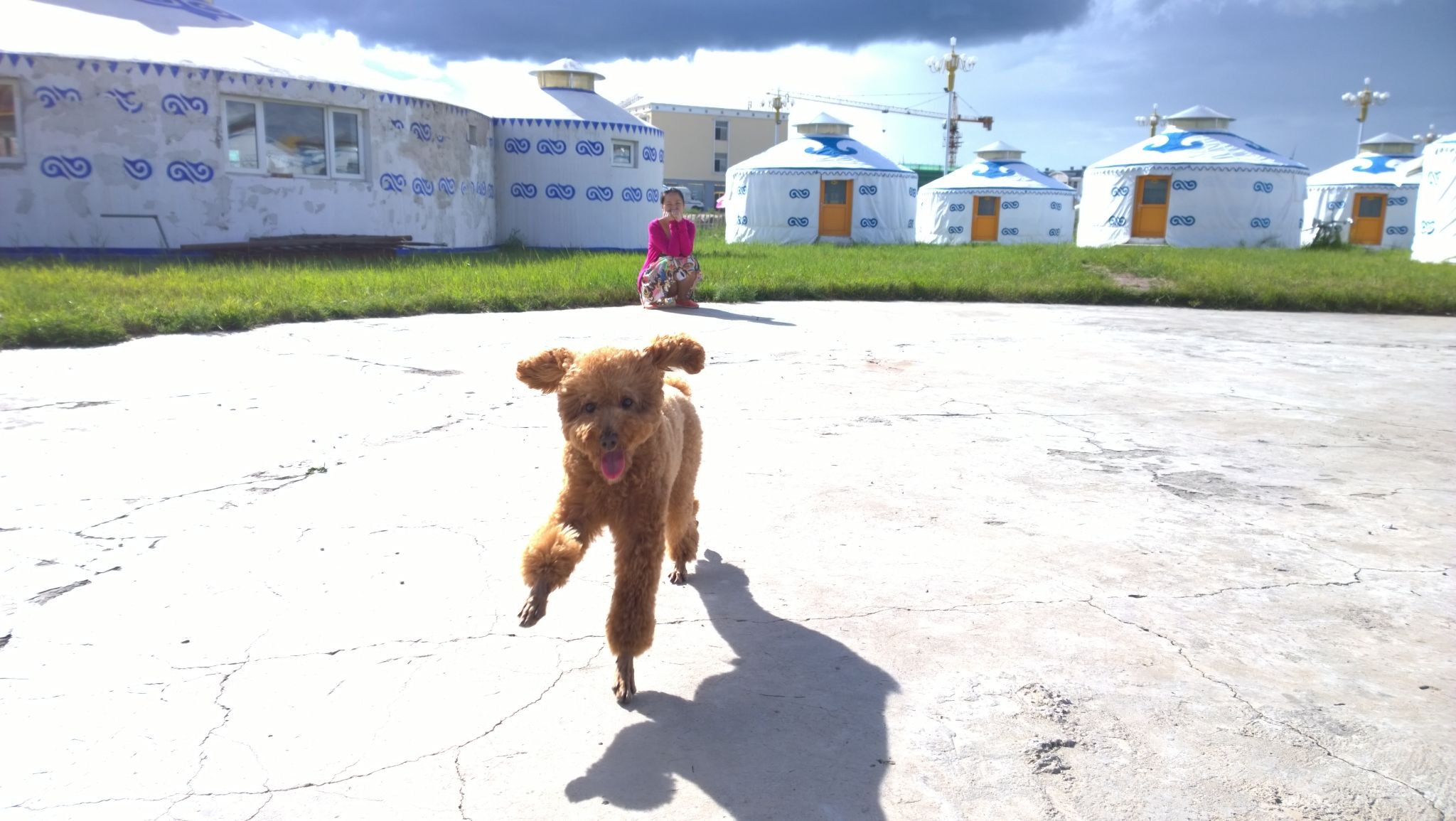 夏日，两人一狗的木兰围场之旅