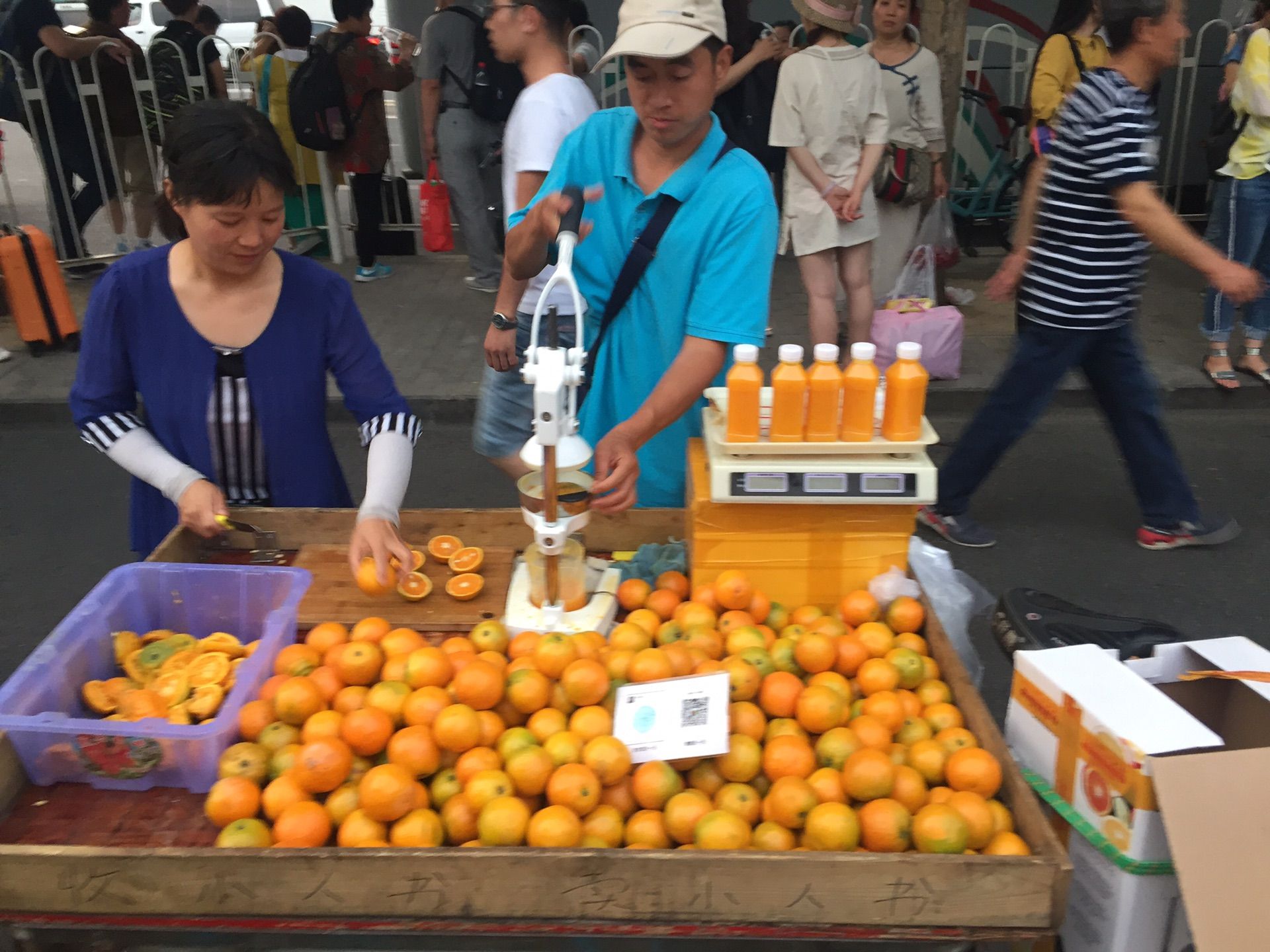 端午节的坝上草原