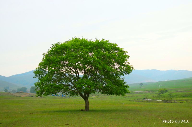 丰宁坝上