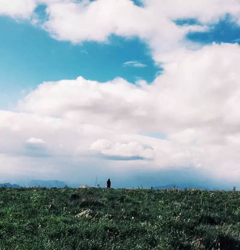 坝上草原的初夏