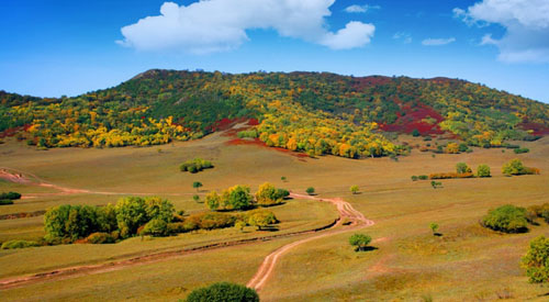 红山军马场风景