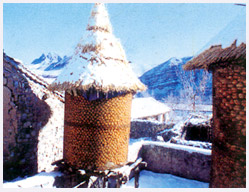 ũСԺ