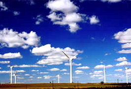 �����糵��