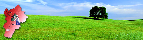 �ű����ϲ�ԭ